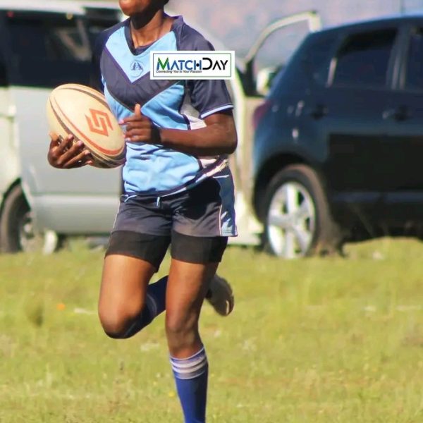 BEAVERS TAKES ON GORILLAS IN RUGBY LEAGUE
